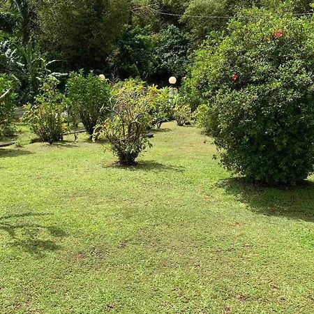 972B-Coin De Verdure Au Pied De La Montagne Pelee Le Morne-Rouge Exterior foto