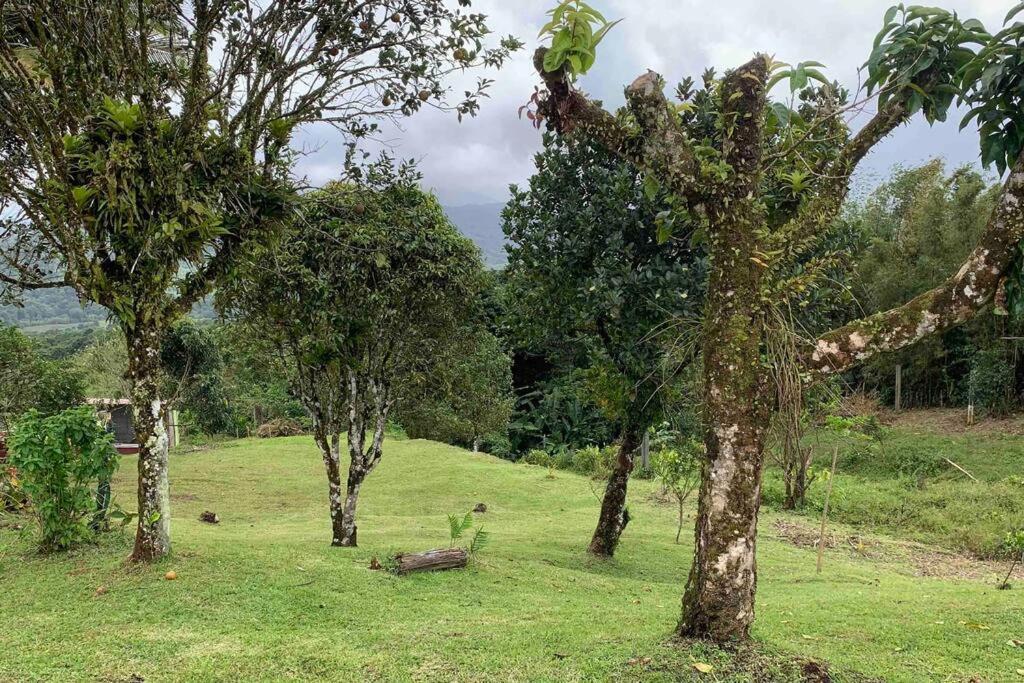972B-Coin De Verdure Au Pied De La Montagne Pelee Le Morne-Rouge Exterior foto